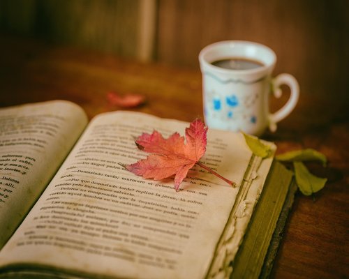 Empty coffee cup and glasses resting on a closed book