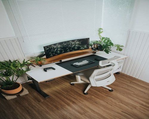 Minimalist desk setup with plants and natural lighting